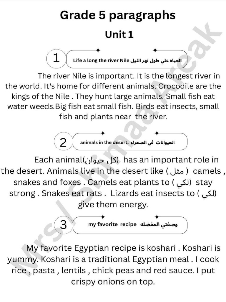 Grade 5 - Paragraphs | PDF