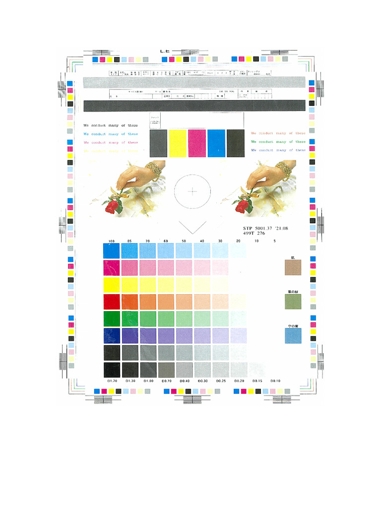 A4 Calibration Test Chart 600dpi | PDF