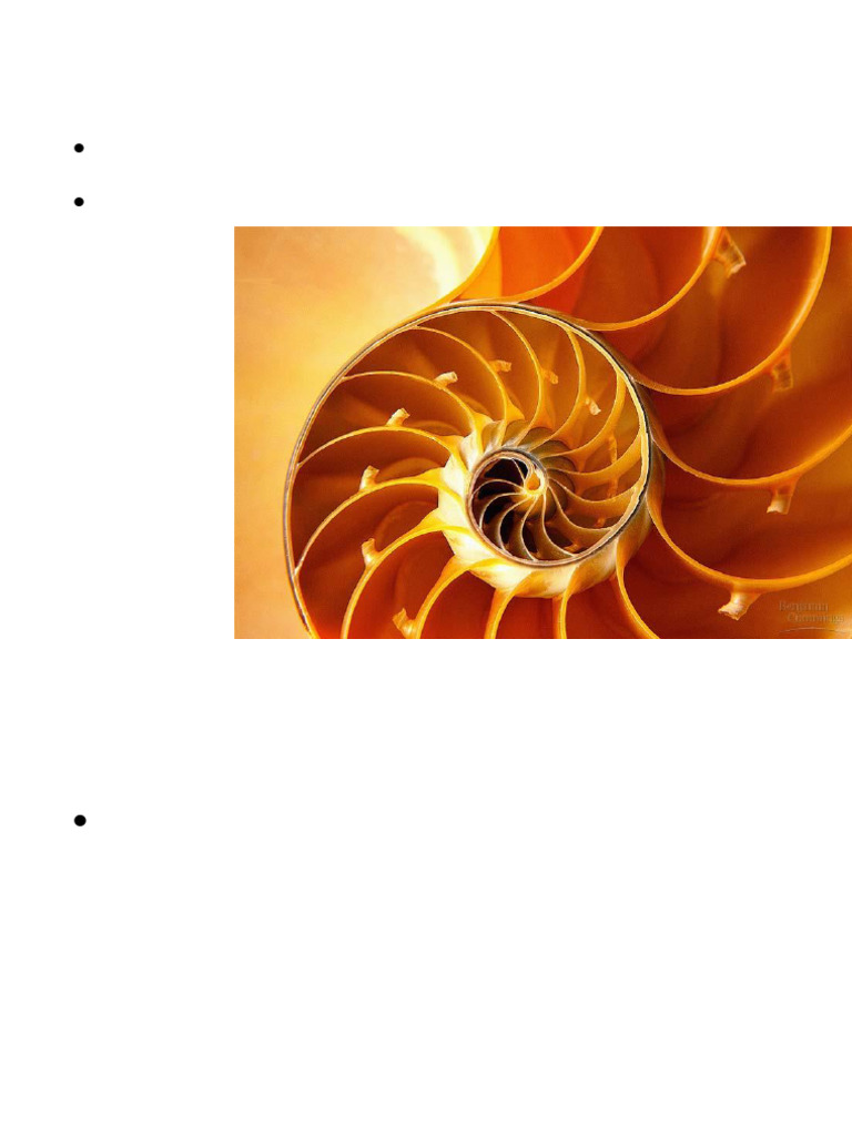 Chapter+1+Lecture+ +intro | PDF
