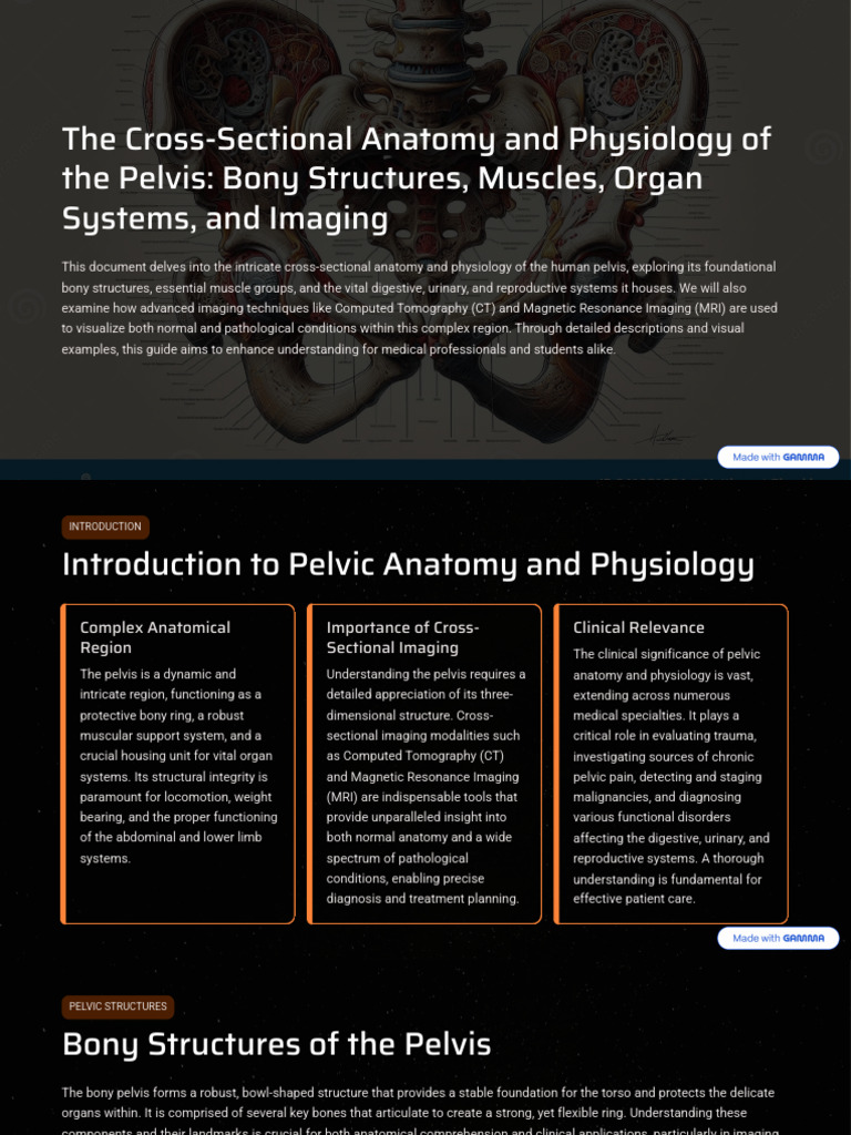 The Cross Sectional Anatomy and Physiology of The Pelvis Bony ...