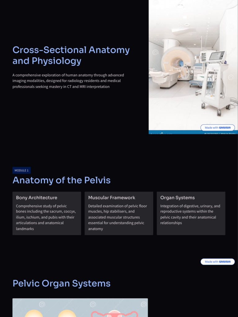 Cross Sectional Anatomy and Physiology | PDF | Pelvis | Anatomy