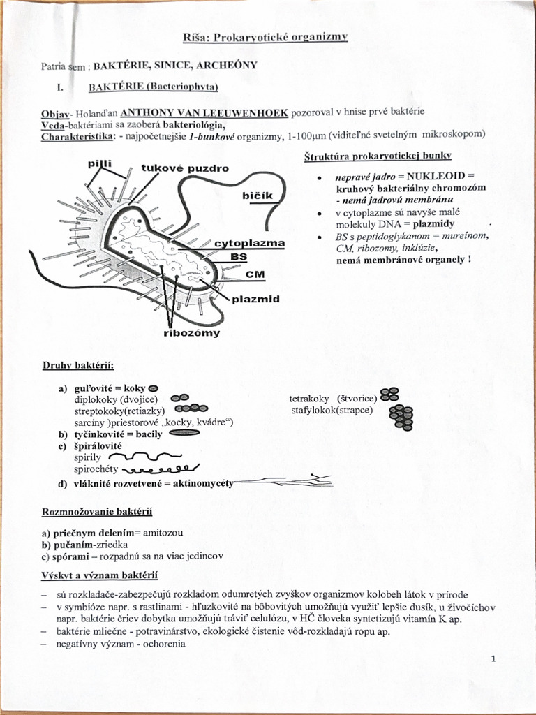 Bakterie, Archeony, Sinice | PDF