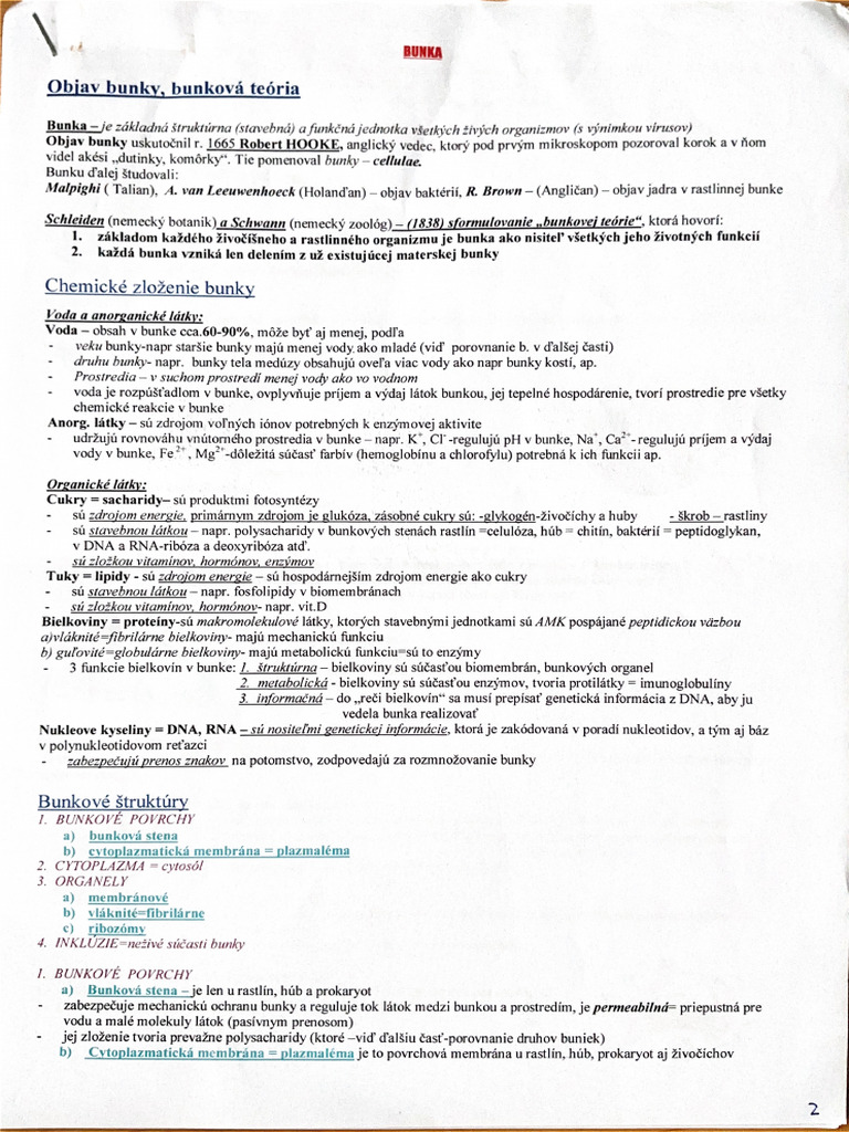 Bunka | PDF