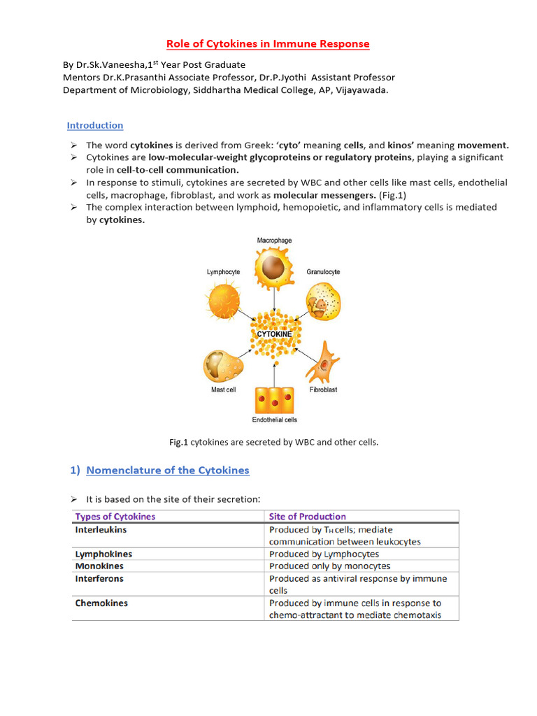 Role of Cytokines in Immune Response 5 | PDF | T Helper Cell | Cytokine