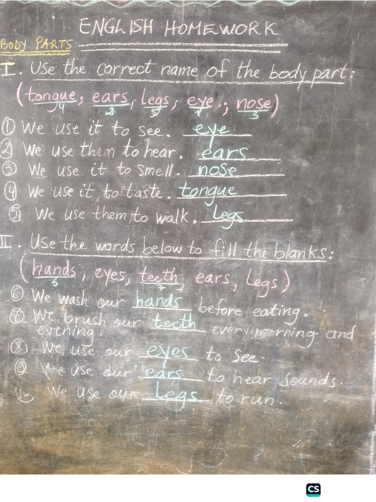English Homework | PDF