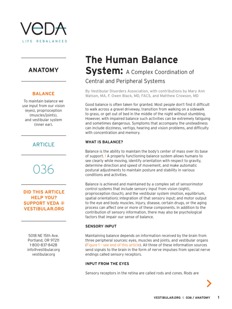 Human Balance System - 36 | PDF | Vestibular System | Balance (Ability)