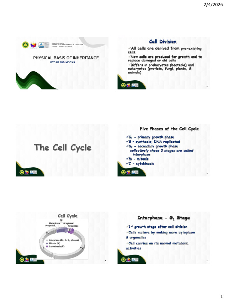 Lecture 2.1 Cell Cycle and Meiosis | PDF | Meiosis | Mitosis