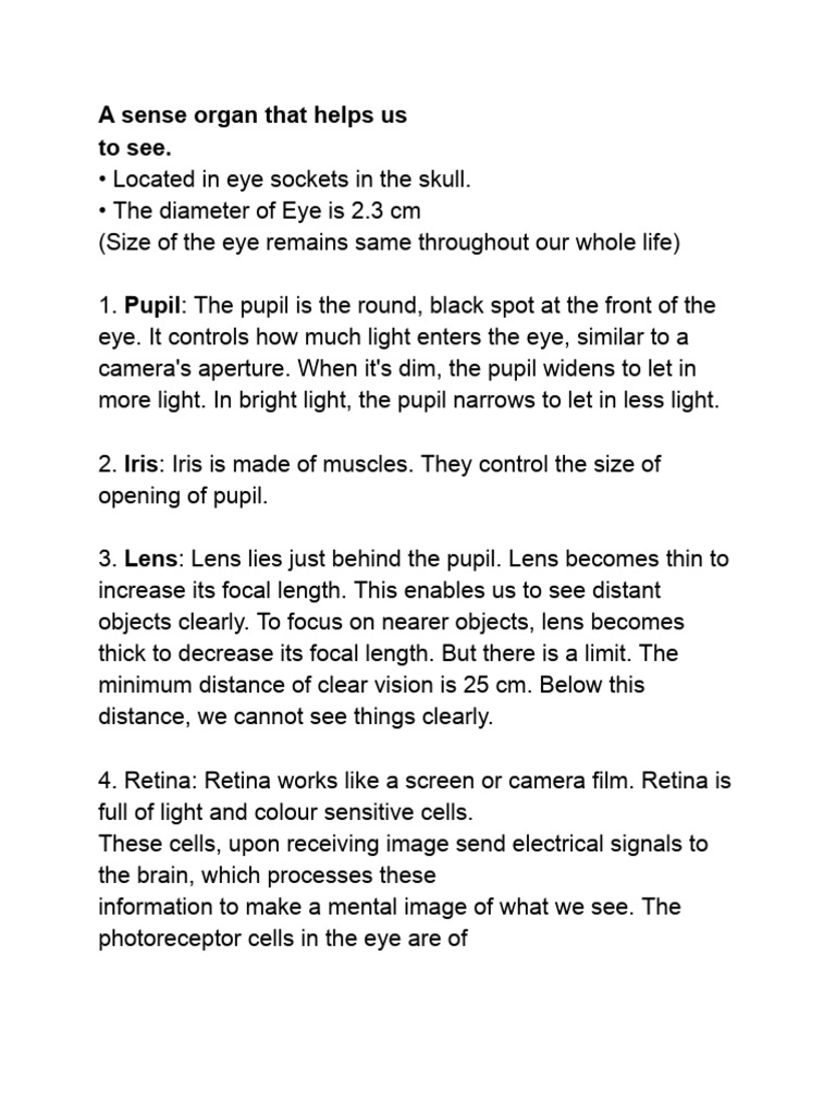 Human Eye | PDF