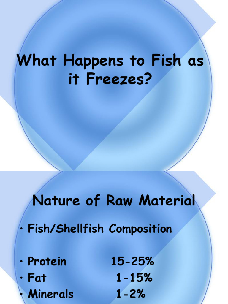 Freezing of Fish | PDF | Freezing | Refrigerator