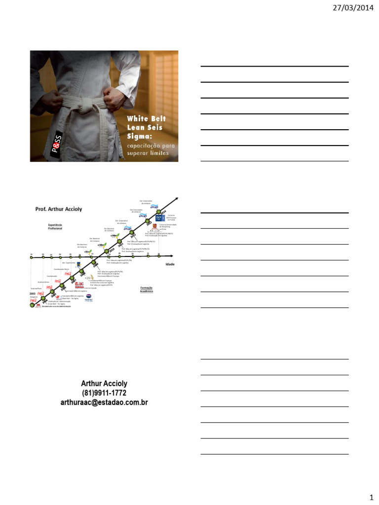 Lean Six Sigma - White Belt | PDF | Seis Sigma | Business