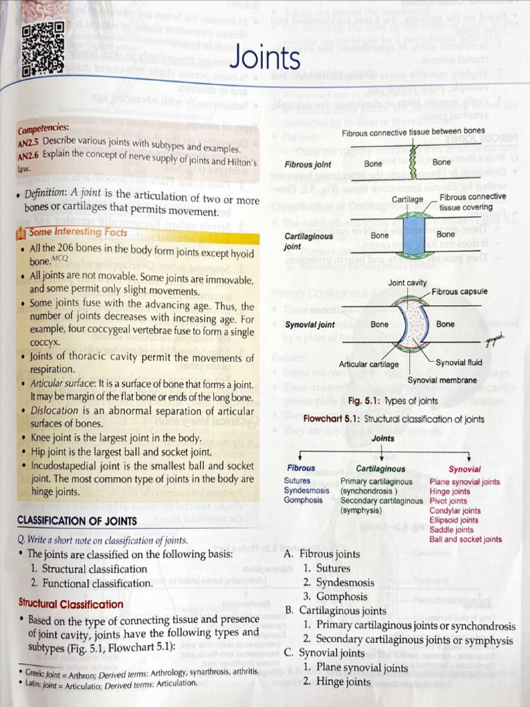 Joints | PDF