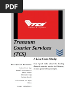 Download TCS Marketing Report by Faizan Basit SN99575317 doc pdf