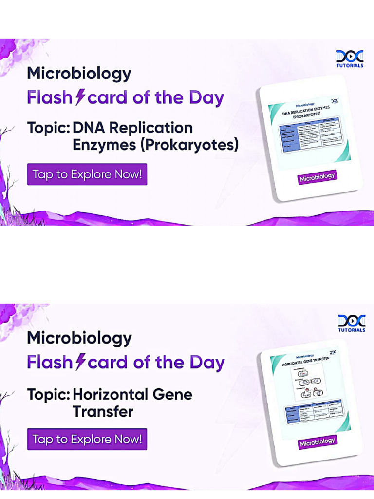 Flash Card Path Pharm Micro | PDF