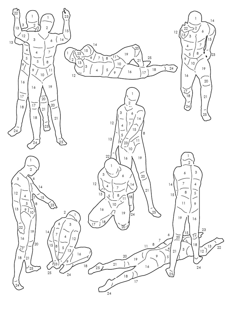 Bodymaps | PDF
