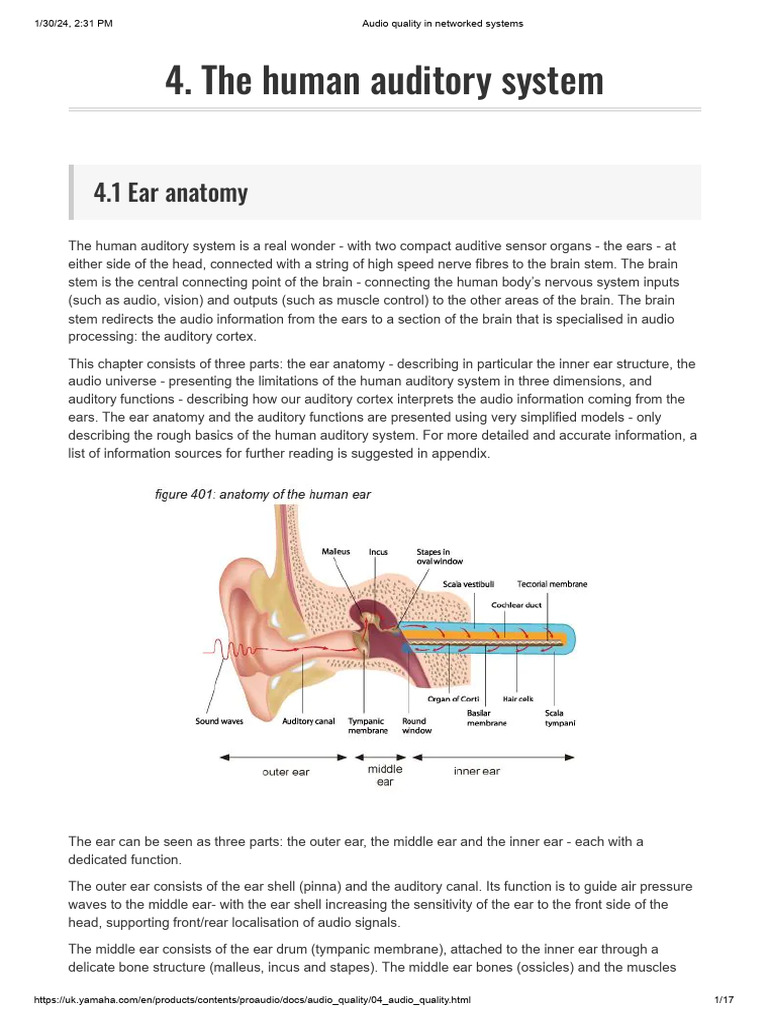 The Human Auditory System | PDF | Ear | Hearing
