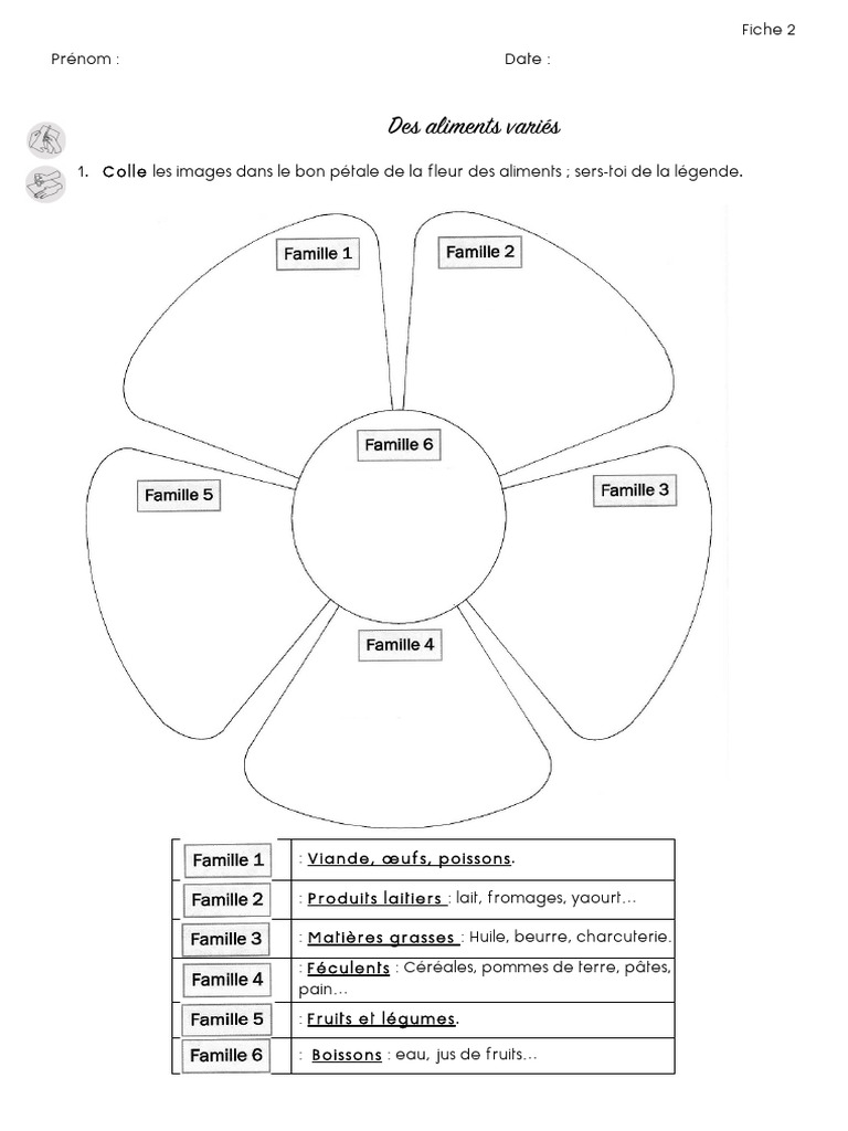 Fiche D Activite 2 | PDF