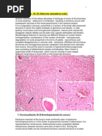 Pathology Slides in English (Little Bit Bulgarian Too:)