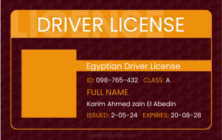 Drivers License Card 5 | PDF