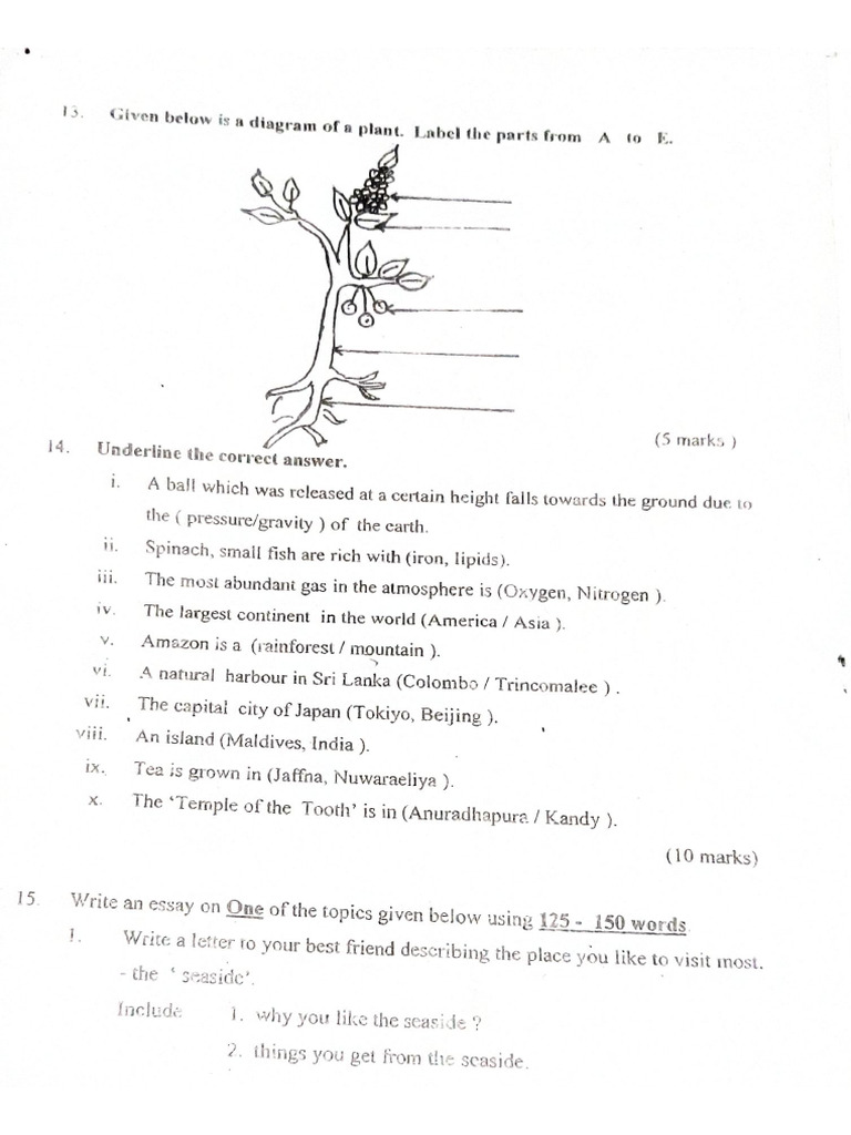Selection Test - Paper 1 3 | PDF
