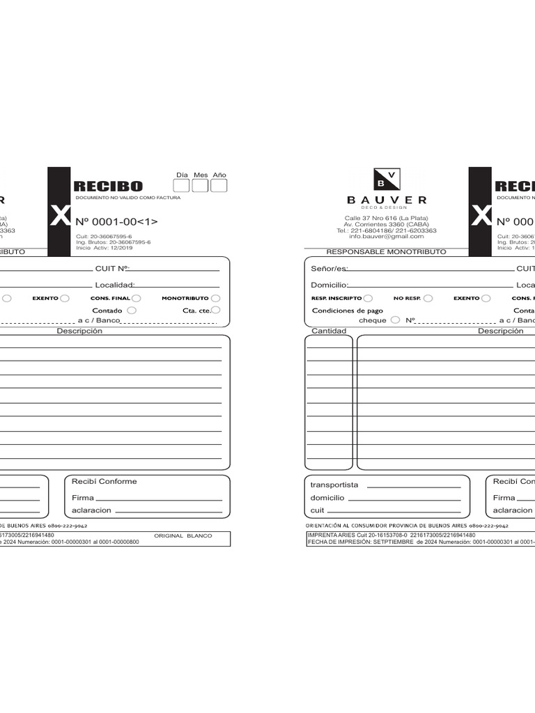 BAUVER 22 Listo para Imprimir | PDF