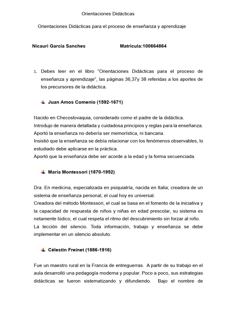 Orientaciones Didacticas para El Proceso de Enseñanza Aprendizaje | PDF ...