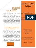 Estratégia para o Desenvolvimento Agrícola em Países Com Clima de Negócios Desafiadores: o Caso Moçambique