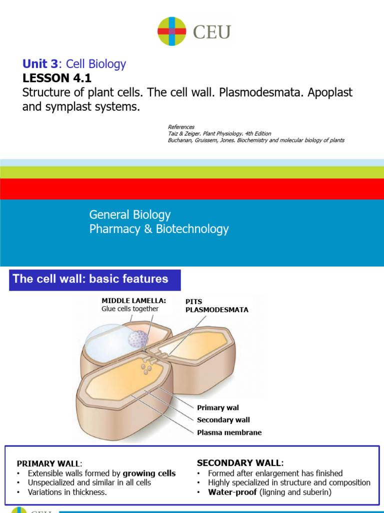 Lesson 4.1. The Plant Cell Wall - APL 2 | PDF | Cell (Biology) | Cell Wall
