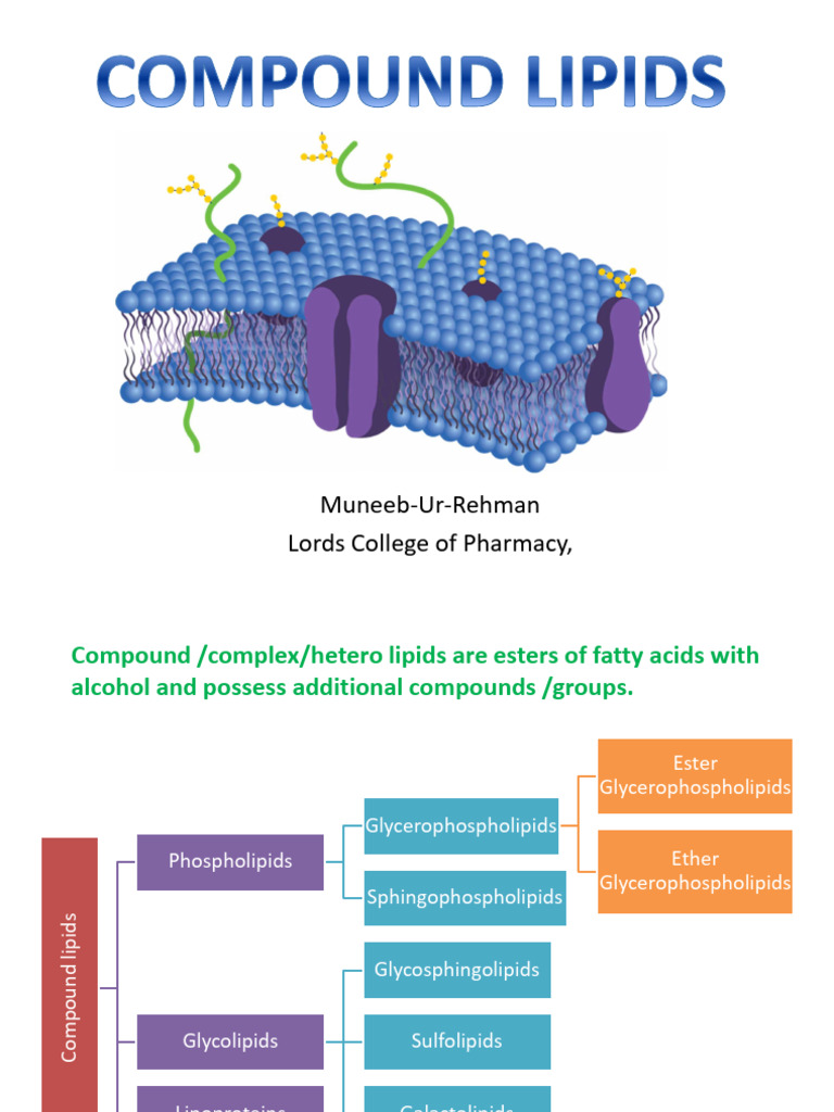 Compound Lipids by Muneeb Ur Rehman | PDF | Lipoprotein | Lipid