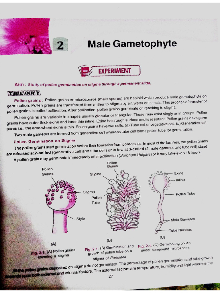 Section B Experiment 2 | PDF