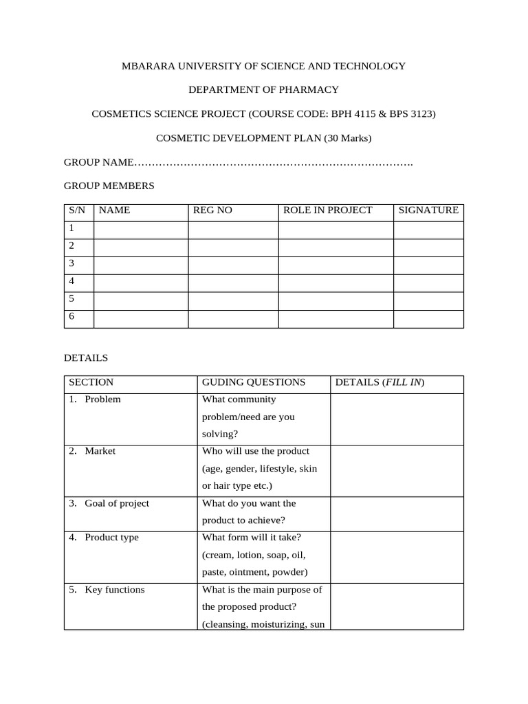 Product Development Plan | PDF