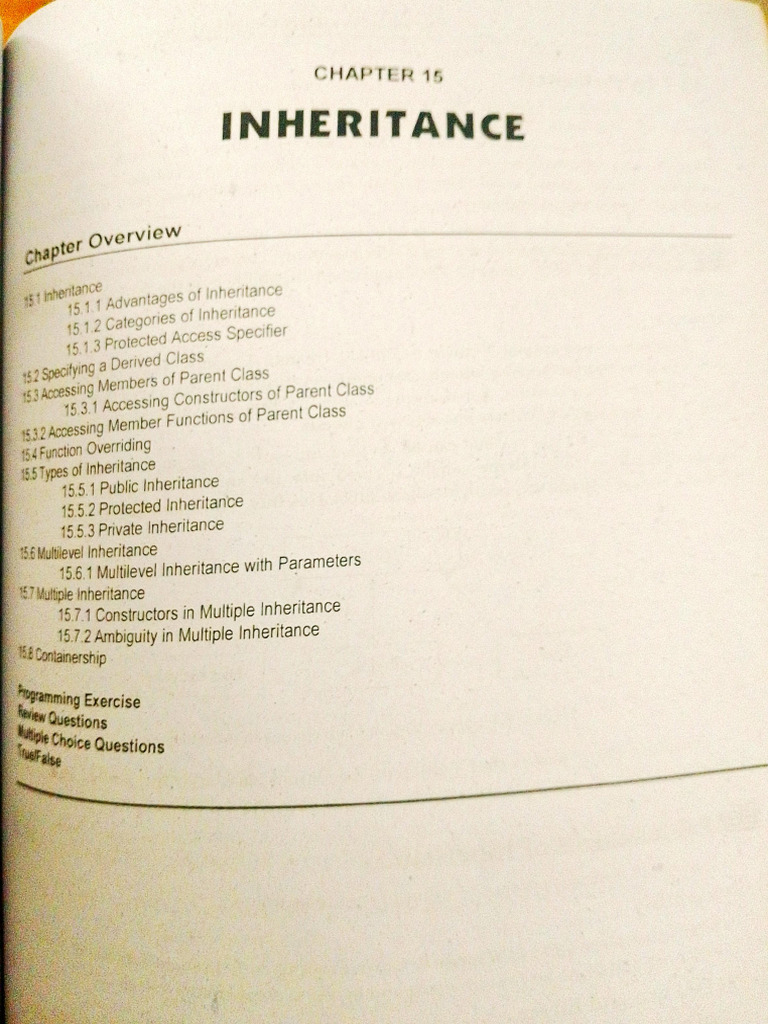 C++ CH 15 | PDF