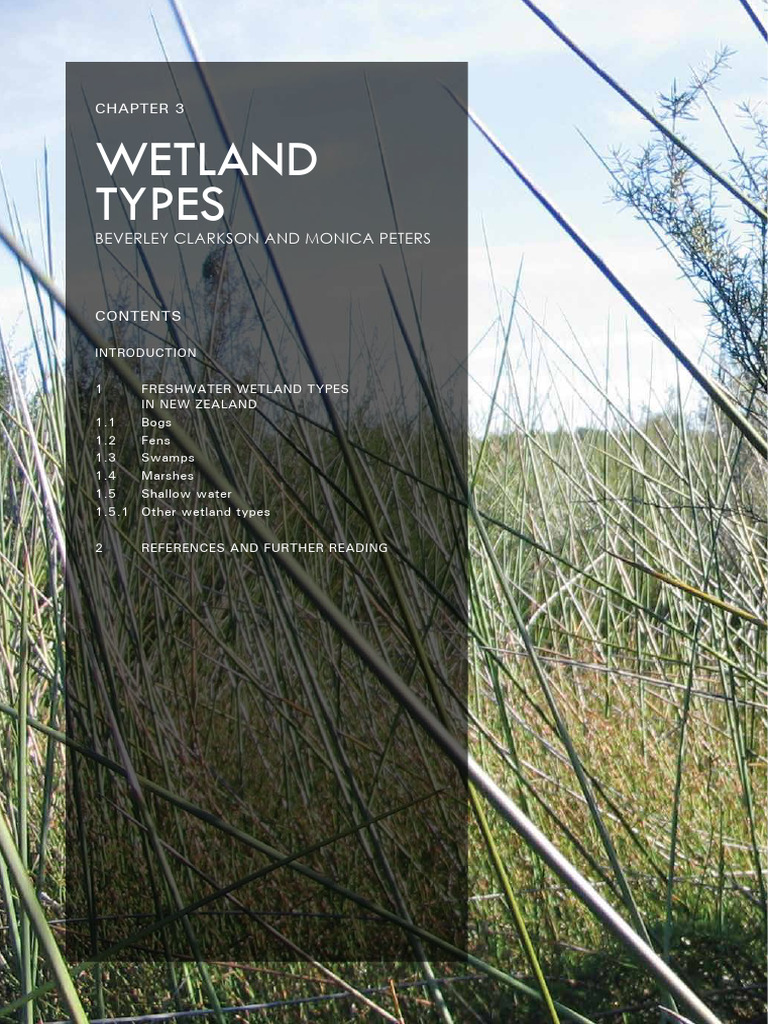 CHP 3 Wetland Types 2012 | PDF | Wetland | Marsh