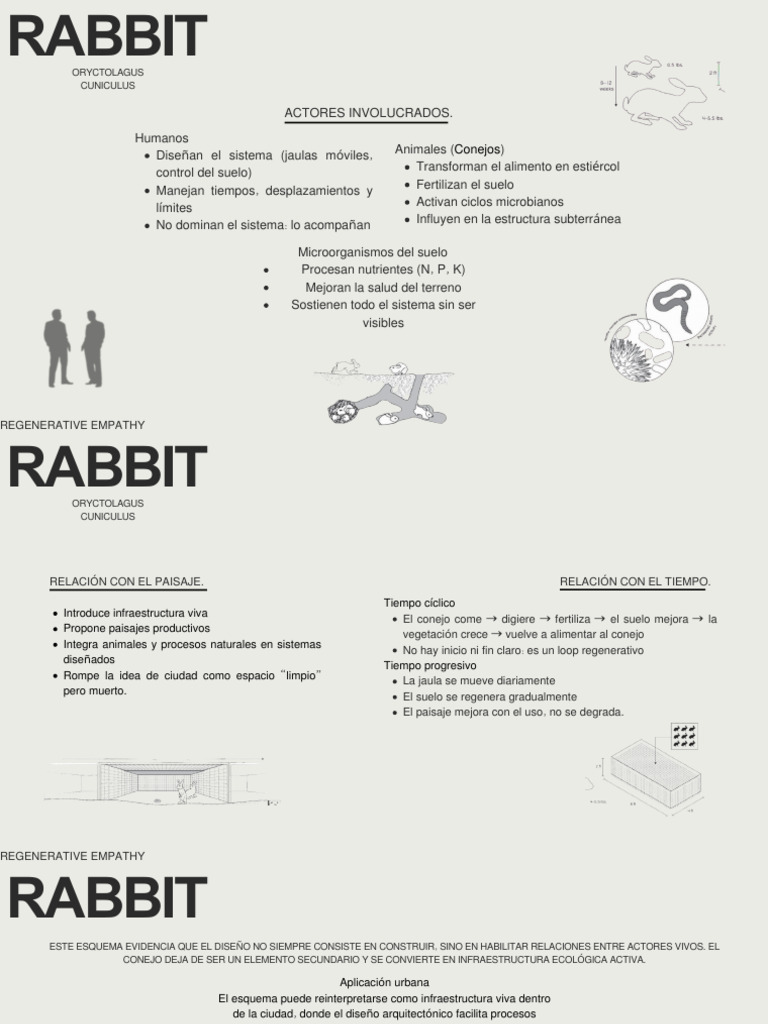 Rabitt Expo | PDF | Entorno natural | Ciencias de la Tierra