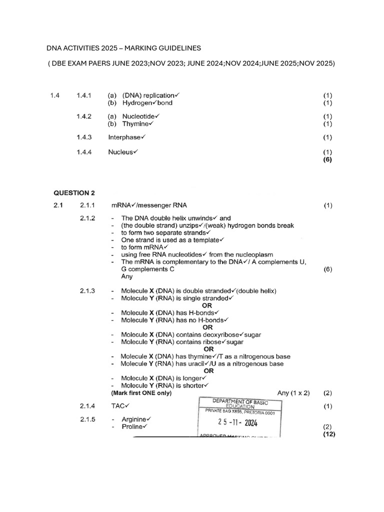 Marking Guideline To Dna Activities | PDF
