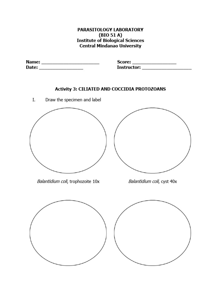 Lab Activity 3 | PDF