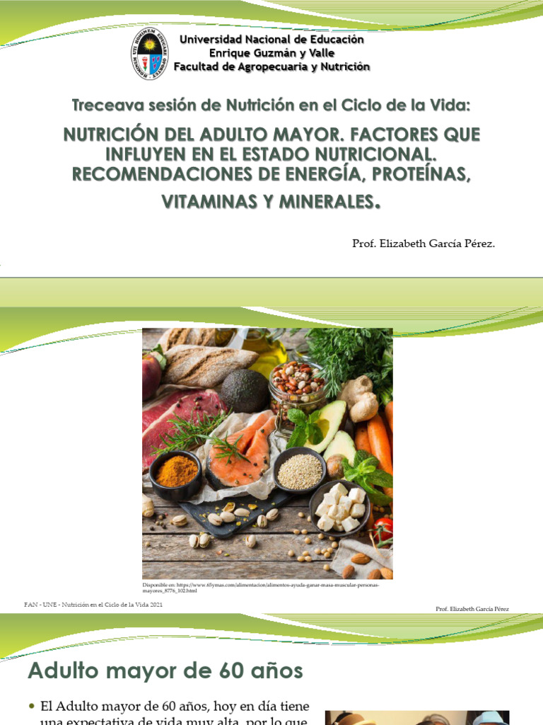 Factores Que Influyen en El Estado Nutricional Del Adulto Mayor | PDF ...