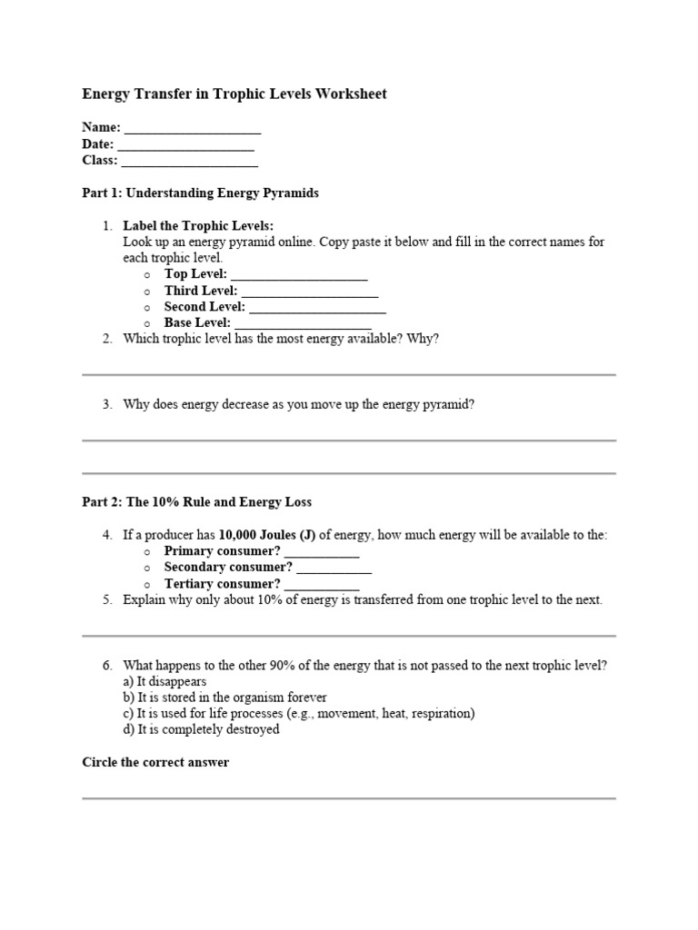 Energy Transfer Worksheet | PDF