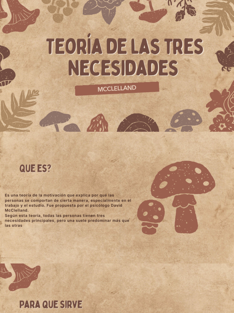 Presentaci%C3%B3n%20Beneficios%20de%20las%20Setas%20Craft%20Beige | PDF ...