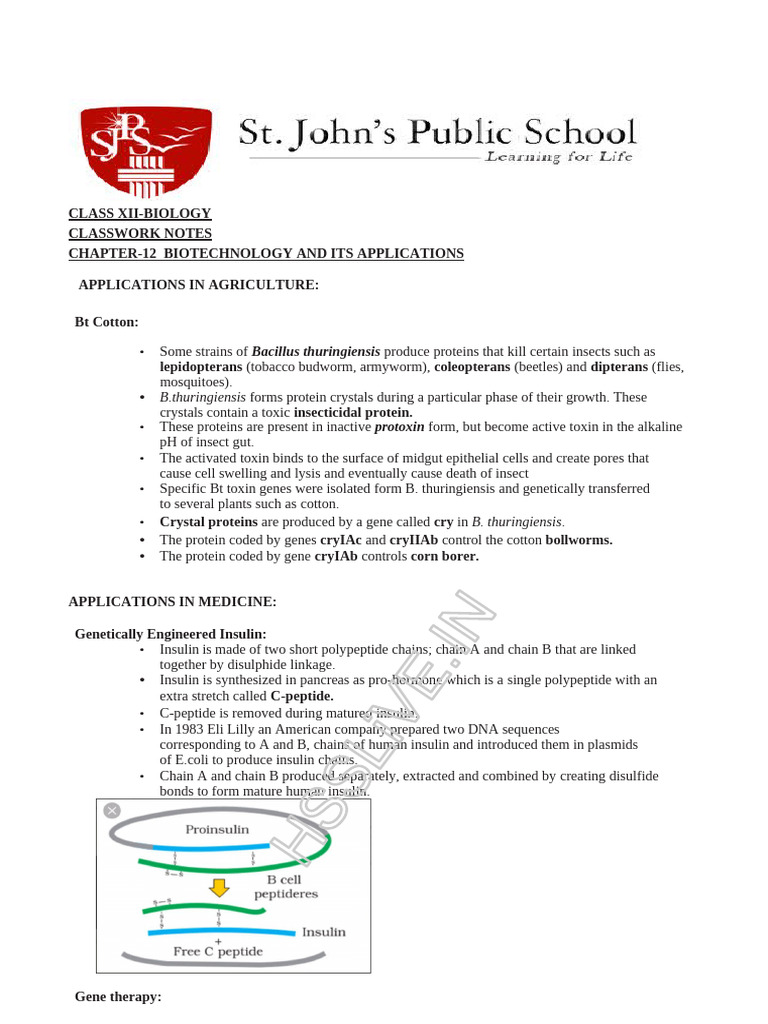 CH 12-Biotechnology - Application CW Notes | PDF | Gene | Molecular Cloning