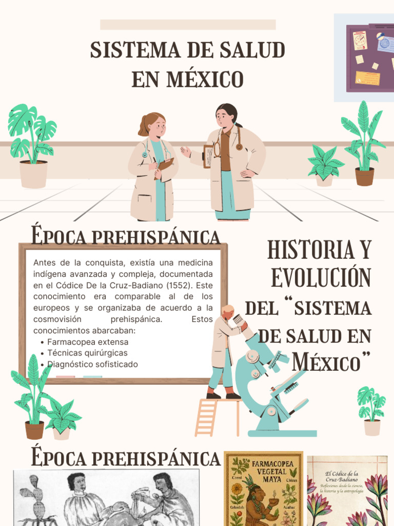 Sistemas de Salud en México | PDF | Hospital | Obesidad
