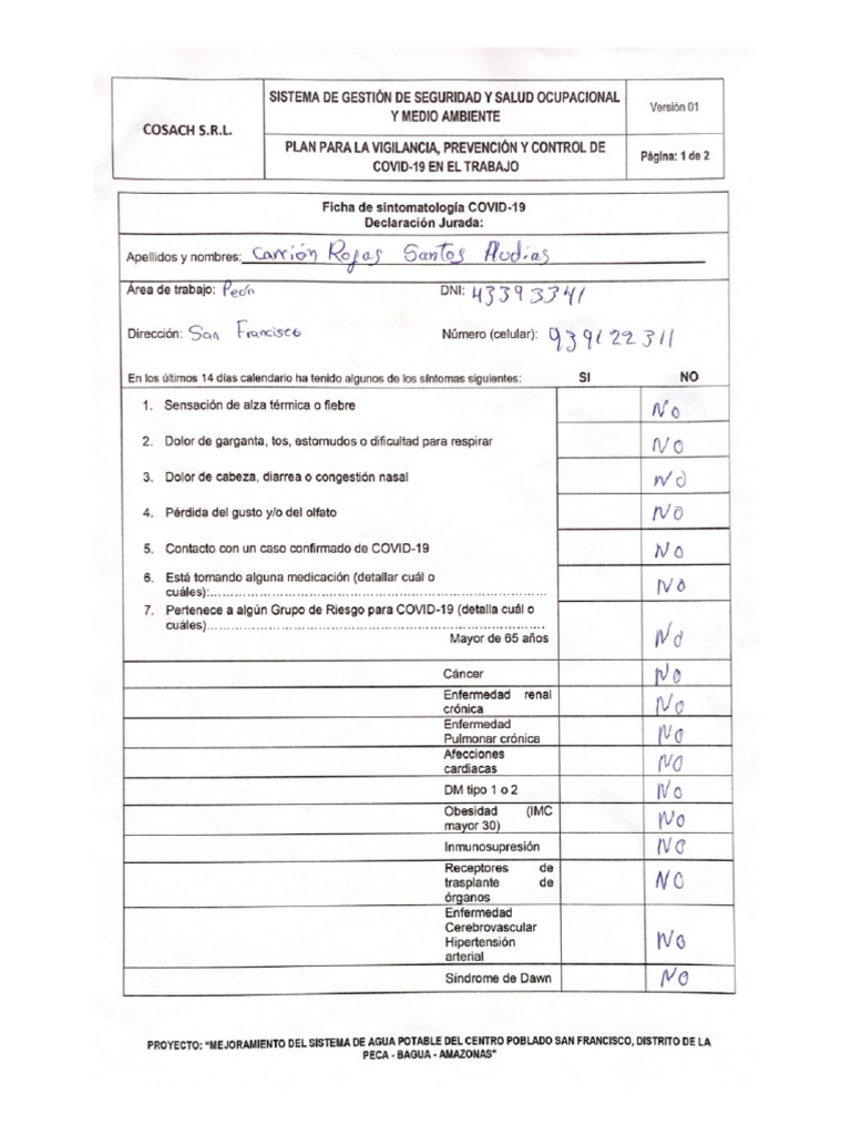 SISTEMA DE GESTIÓN DE SEGURIDAD Y SALUD OCUPACIONAL (1) | PDF