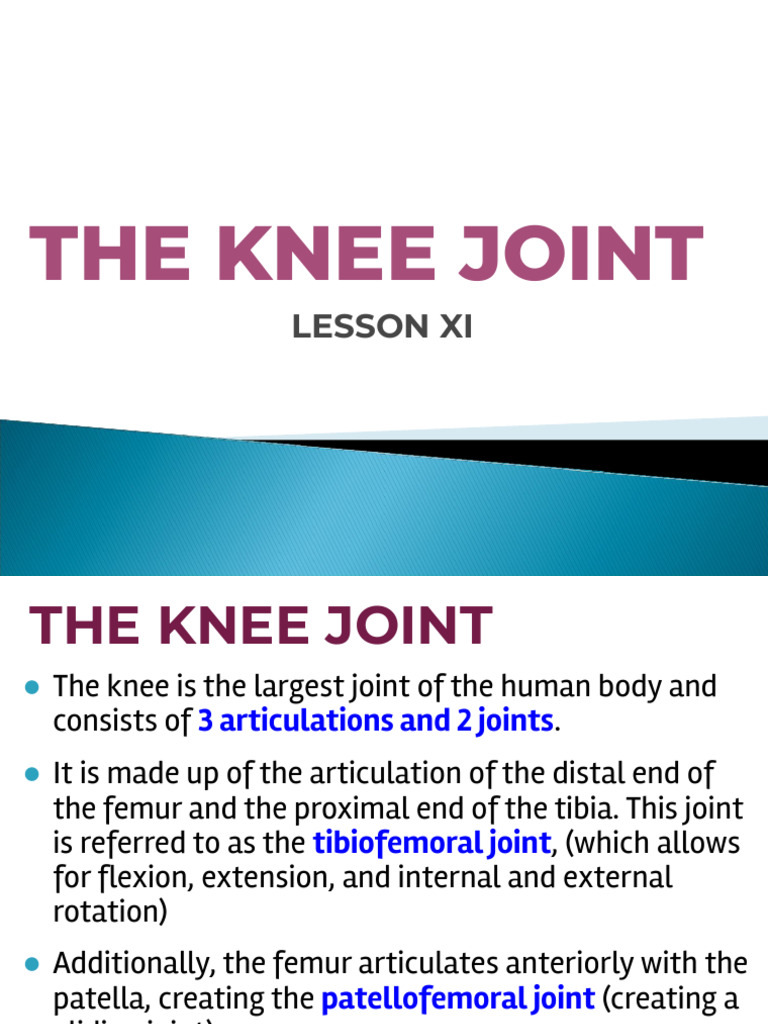 1.11 The Knee Joint - 2025 | PDF | Knee | Musculoskeletal System