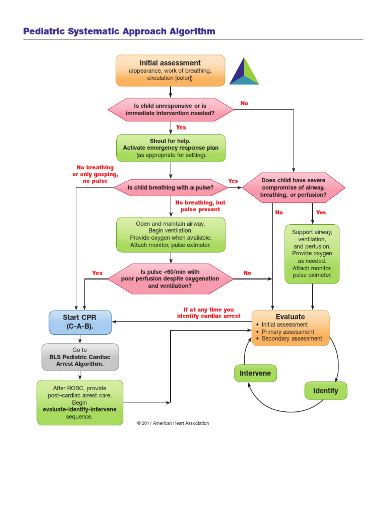 Pediatric Systematic Approach Algorithm Ucm 495812 | PDF | Breathing ...