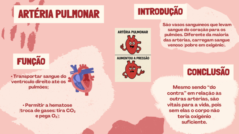 Artéria Pulmonar PDF | PDF