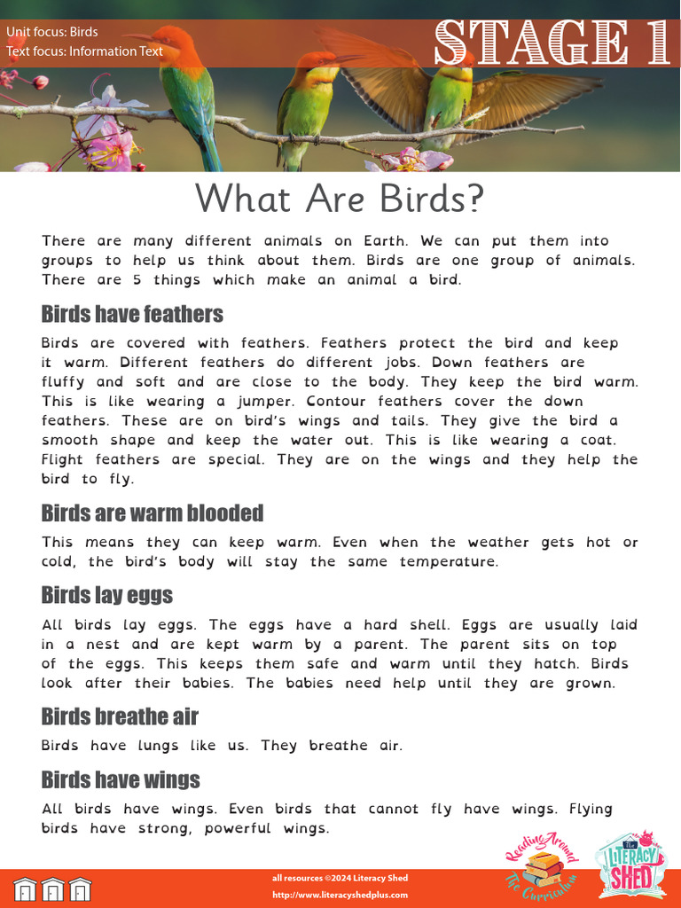 Birds - Stage 1 Comp - What Are Birds - Comprehension Pack | PDF ...