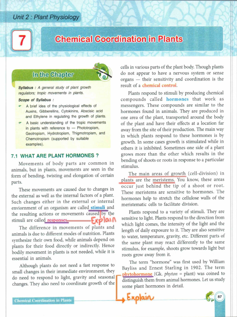T7. Chemical Coordination in Plants - 0001 | PDF | Plant Hormone | Auxin