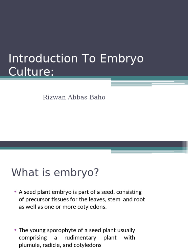 Embryo Culture and Embryo Rescue (1) | PDF | Seed | Plant Breeding