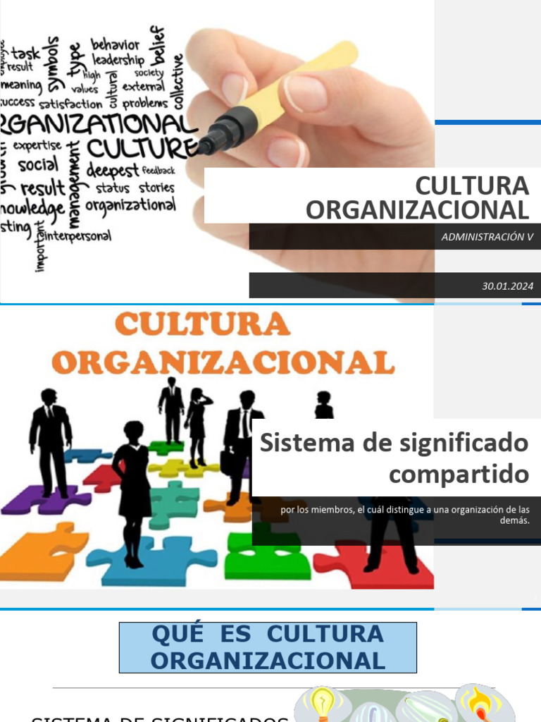 CULTURA ORGANIZACIONAL | PDF | Socialización | Cultura organizacional