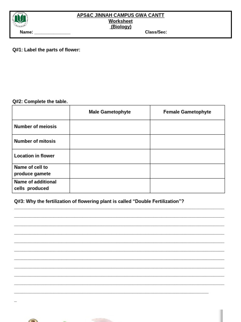 Worksheet For Evaluation Grade Ix | PDF