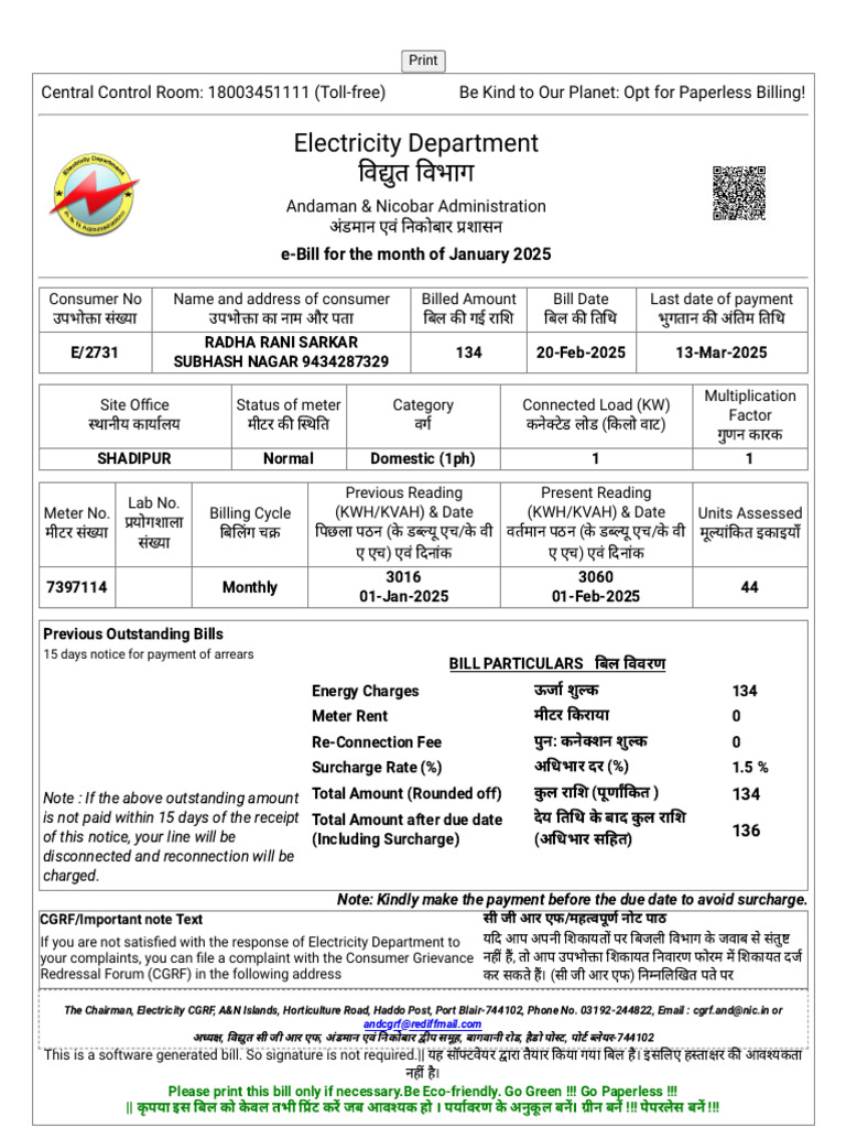 Electricity Bill of Connection No E - 2731 For January 2025 | PDF
